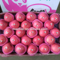 /msite/products/detail/productid/54855575/id/542998.html